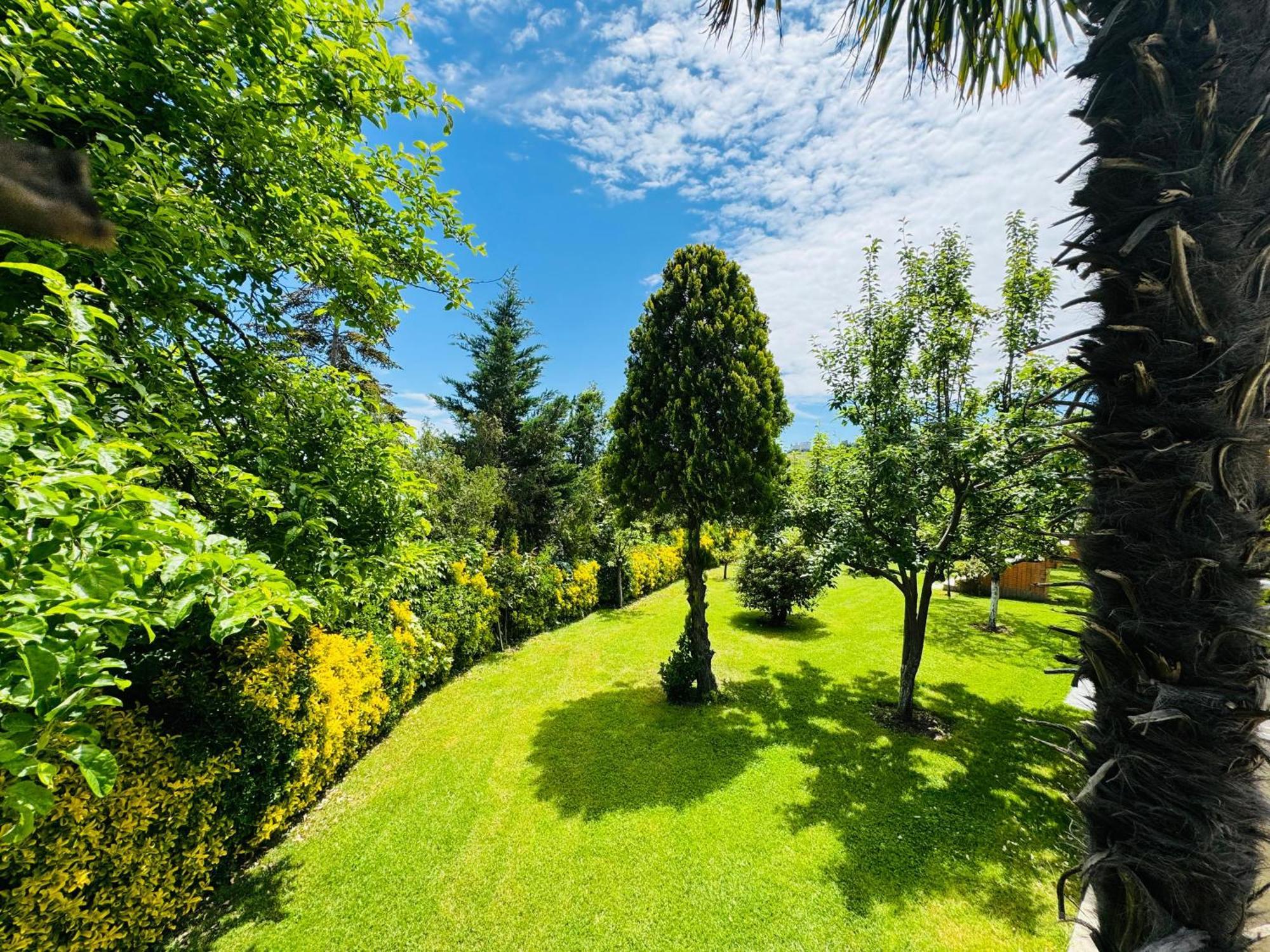 Treekos Suite Hotel Istanbul Airport Arnavutkoy 外观 照片